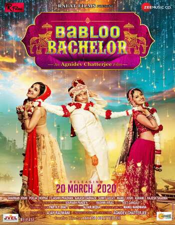 Babloo Bachelor 2021 Full English Movie 720p 480p Download