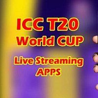 Watch T20 World Cup 2021 LIVE Streaming On Your Mobile, Laptop or Computer