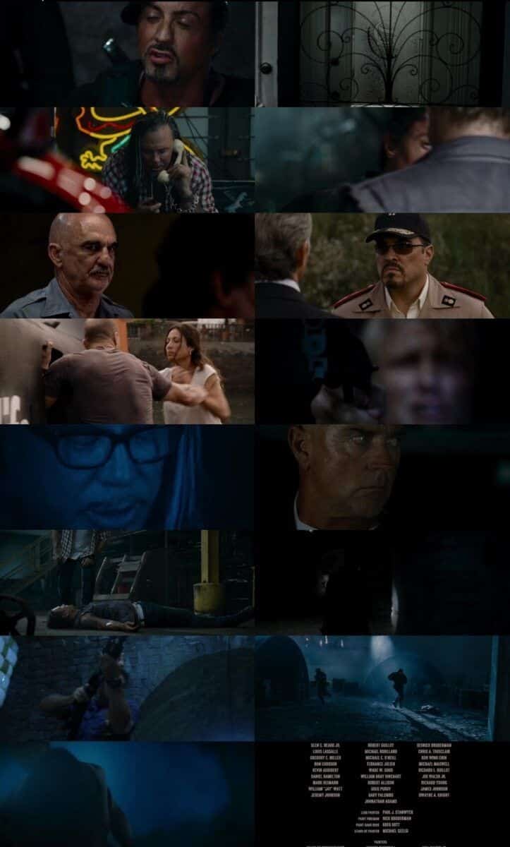 The Expendables 2010 Hindi Dual Audio 720p BluRay ESubs