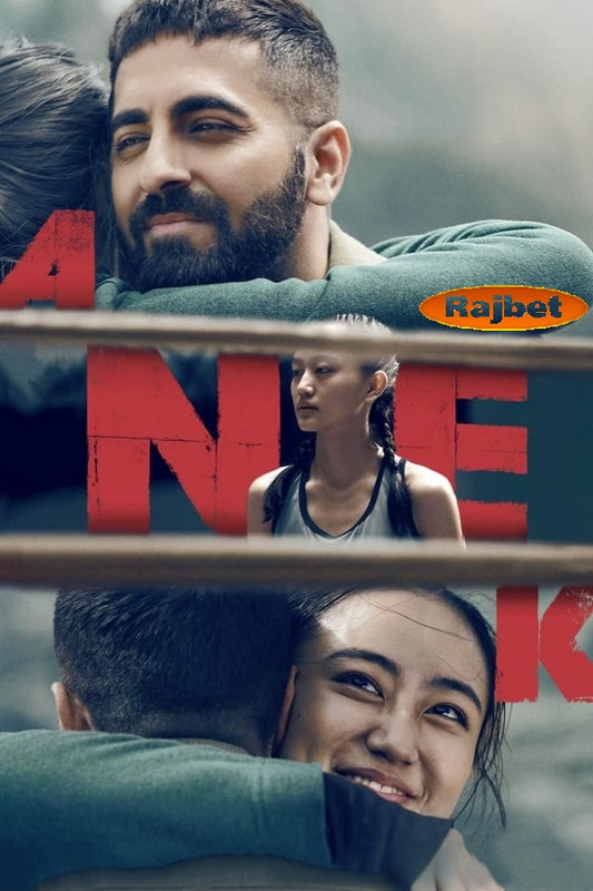Anek 2022 Hindi 1080p 720p 480p V2 Pre-DVDRip x264